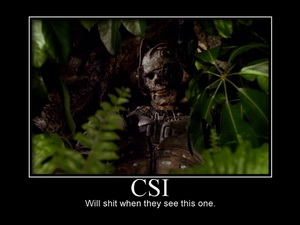 CSI Borg