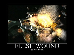 Flesh Wound Defiant