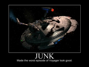 Junk NX Class Voyager