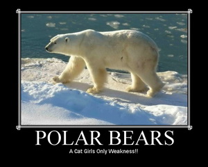 Polar Bears Cat Girls