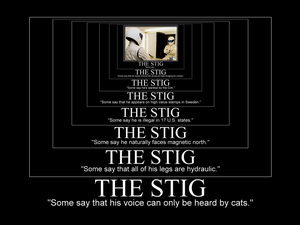 Stig Voice Cats